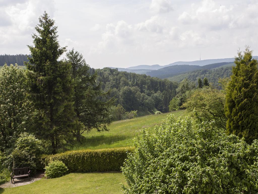 Pension Haus Brieden Winterberg Esterno foto